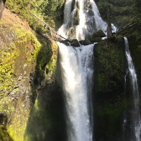 Meet your Posher, Erin - Picture 1 of 1